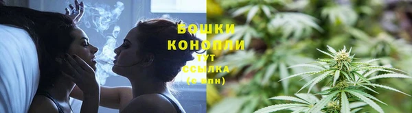 прущие крисы Беломорск