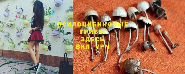 синтетический гашиш Белокуриха