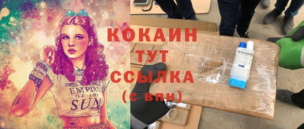 индика Белоозёрский