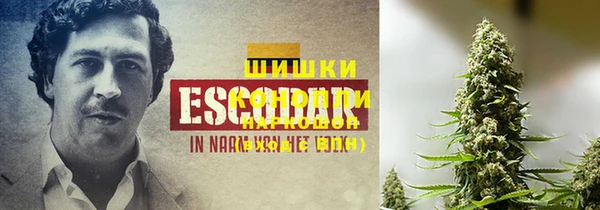 индика Белоозёрский