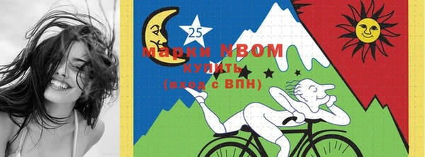 индика Белоозёрский