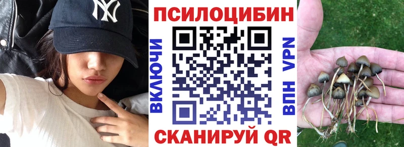 Купить где Шимановск Псилоцибиновые грибы Psilocybine cubensis